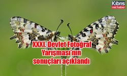 XXXI. Devlet Fotoğraf Yarışması’nın sonuçları açıklandı