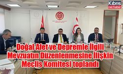 Doğal Afet ve Depremle İlgili Mevzuatın Düzenlenmesine İlişkin Meclis Komitesi toplandı