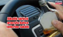 Alkollü sürücü aracıyla bahçe tellerine takıldı