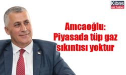 Amcaoğlu: Piyasada tüp gaz sıkıntısı yoktur