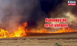 Aydınköy’de arazi yangını