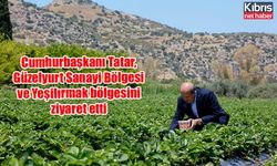 Cumhurbaşkanı Tatar, Güzelyurt Sanayi Bölgesi ve Yeşilırmak bölgesini ziyaret etti