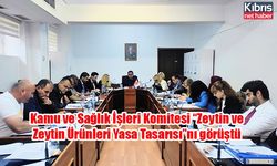 Kamu ve Sağlık İşleri Komitesi “Zeytin ve Zeytin Ürünleri Yasa Tasarısı”nı görüştü