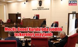 Meclis Genel Kurulu'nda ivedilik tezkereleri onaylandı