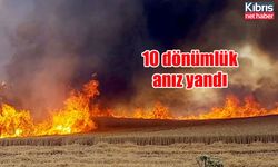 10 dönümlük anız yandı