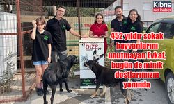 452 yıldır sokak hayvanlarını unutmayan Evkaf, bugün de minik dostlarımızın yanında