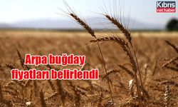 Arpa buğday fiyatları belirlendi