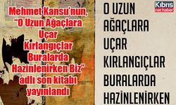 Mehmet Kansu’nun, “O Uzun Ağaçlara Uçar Kırlangıçlar Buralarda Hazinlenirken Biz” adlı son kitabı yayınlandı