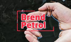 Brent petrol