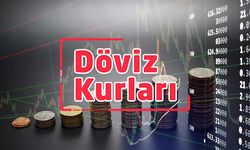 Döviz kurları