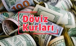 Döviz kurları