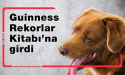 Dünyanın en yaşlı köpeği Bobi 31 yaşında öldü