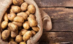 İlkbahar patates üretim dönemi askı listelerine itiraz süreci başladı
