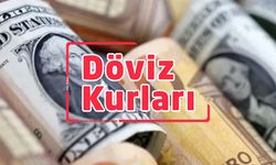 Döviz kurlarında son durum