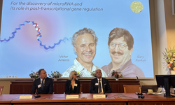 2024 Nobel Tıp Ödülü "microRNA keşfinden" dolayı ABD'li Victor Ambros ve Gary Ruvkun'a verildi