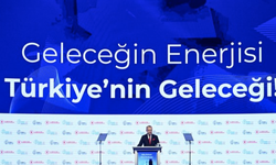 Türkiye'de rüzgar enerjisi sektörü yılda 5 gigavatlık yatırım hedefliyor