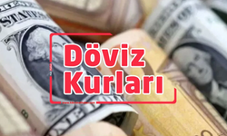 Döviz kurları