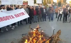 Narenciye üreticileri, Güzelyurt Terminal Binası önünde eylem yapıyor