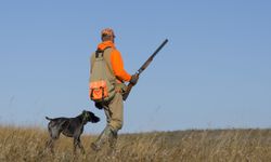 Gaziköy’de kanunsuz avlanma: 1 Kişi hakkında yasal işlem başlatıldı