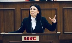 Fazilet Özdenefe: 8 Mart’ta kadınlar hatırlanıyor, ertesi gün unutuluyor