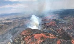 ABD'nin Arizona eyaletindeki orman yangınlarında 8 bin 265 hektarlık alan yandı