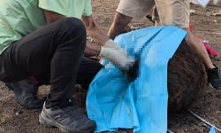 Karpaz eşekleri için ilk adım atıldı