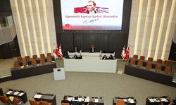 Meclis Genel Kurulu'nda bazı tezkereler oylandı...Trafik konusu konuşuldu