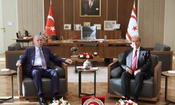 Erdoğan, Tatar ile görüştü