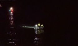 ABD'de bir uçak Pasifik Okyanusu'na düştü