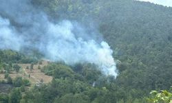 Bolu'da orman yangını: Müdahale sürüyor