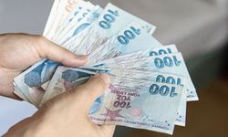 Zeytin üreticilerine ilk kez dolu tazminat ödemesi gerçekleştirildi