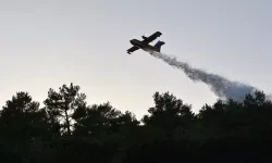 Yangın söndürme uçağının enkazı bulundu: 1 pilot şehit!