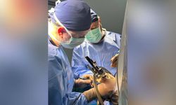 Ozankaya: Beyin pili ameliyatı; bilimin umutla buluştuğu yer