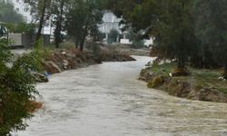 Derelerin seviyelerinde ciddi düşüş var