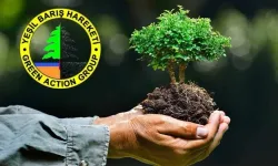 Yeşil Barış Hareketi'nden siyasi partilere çağrı...