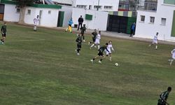 Forest Zirveye Doğru