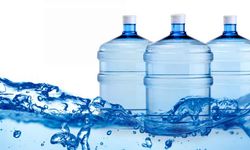 Tarım ve Doğal Kaynaklar Bakanlığı Girne bölgesinde denetimler yaptı