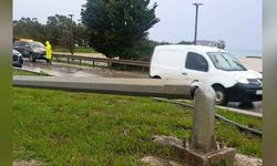 İskele’de şiddetli rüzgar ağaç ve direkleri devirdi