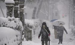 Japonya'da şiddetli kış şartlarından kaynaklanan can kayıplarının sayısı 46'ya yükseldi