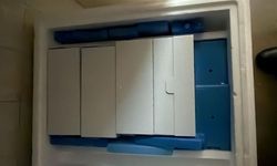 Güney Kıbrıs’a 50 bin doz şap aşısı daha… Toplamda 60 bin doz teslim edildi