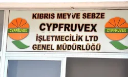 Cypfruvex’ten valensiya fiyatlarıa ilişkin açıklama