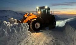 Van beyaza büründü: 78 yerleşim yeri ulaşıma kapandı