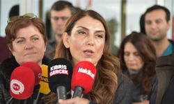 Gürkut: Grevi toplum sağlığı ve mesleki onurumuz için askıya aldık