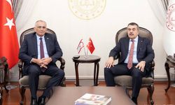 Çavuşoğlu, mevkidaşı Tekin ile bir araya geldi