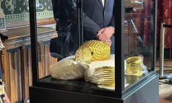 Müze soygununun simgesi olmuştu: 2 bin 500 yıllık altın miğfer müzeye geri döndü