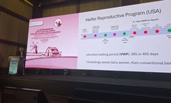 Çavuş: Bilimsel çalışmalar ve yenilikçi yaklaşımlar hayvancılık sektörünün geleceği için yol gösterici