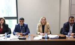 Hukuk, Siyasi İşler, Dışilişkiler ve Savunma Komitesi toplandı