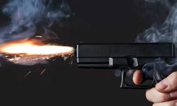 Köpeklere ateş açıldı