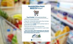 İstatistik Kurumu Hanehalkı Bütçe Anketi'nin Mayıs'ta Başlandığını Açıkladı...