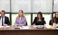Meclis Komitesi Kamu Finansmanı Kararnamesini Genel Kurul’a Sevk Etti